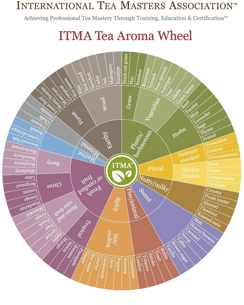 Tee-Geschmackskompass bildet Geschmacksrichtungen auf Rad ab